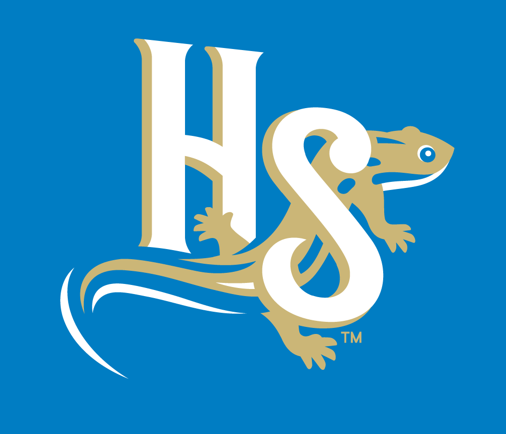 Holly Springs Salamanders 2015-Pres Alternate Logo v5 iron on transfers for clothing